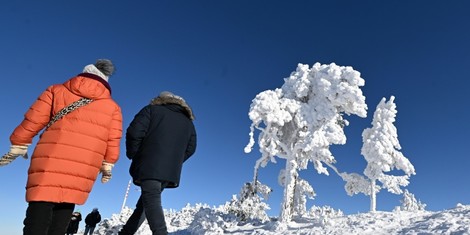 cdec5ce5b58b628a674b6155d2039df1d407a898