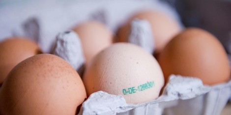 b8d01004f754ff986881d73e17d63fba183e814b