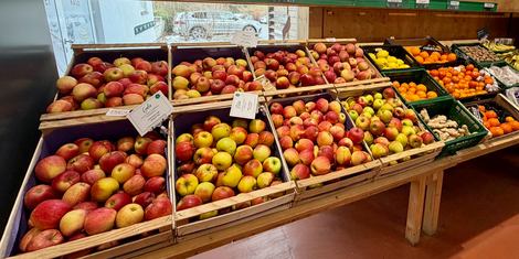 cropped-1767884969-bildschirmfoto-2026-01-08-um-16.09.19