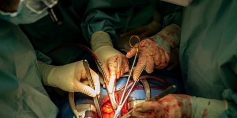 60053c8ea515d737e599fa14a31f7c3f9af5c088