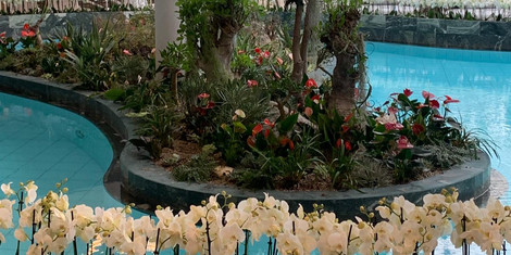 cropped-1768307886-img-20260113-wa0069