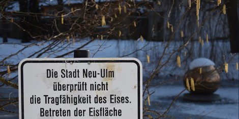 cropped-1768397888-dsc_0172