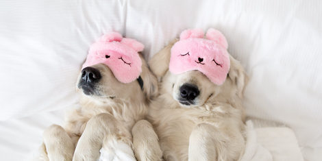 cropped-1769100309-bildschirmfoto-2026-01-22-um-17.44.50