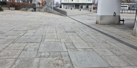 cropped-1769194902-20260123_120840