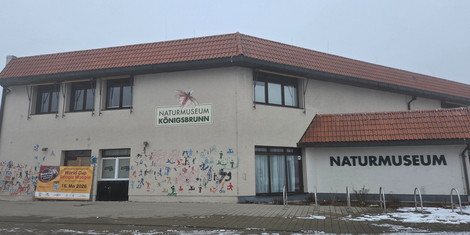 cropped-1769798141-20260130_145030