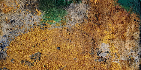 cropped-1770365640-angelika-haschler-20231217_113743