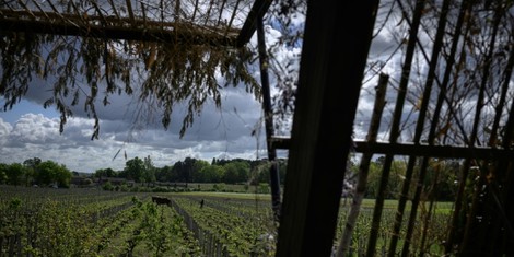 2e3fd4e119402b581e510c57f3987a9e9d5f8ec7