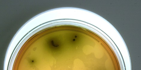 7815693fbb70d8ef42bcbe3edd456c6d868bf9f2