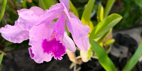 cropped-1770926960-bildschirmfoto-2026-02-12-um-21.09.12