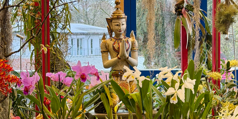 cropped-1770926641-bildschirmfoto-2026-02-12-um-21.02.43