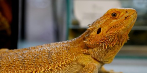 053bb0215f01cf078365afee8f2af4dfce02f736