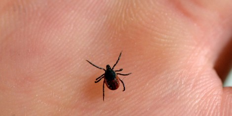 f9547d7cd16a4487563f5ea9fccfc65602cee63f