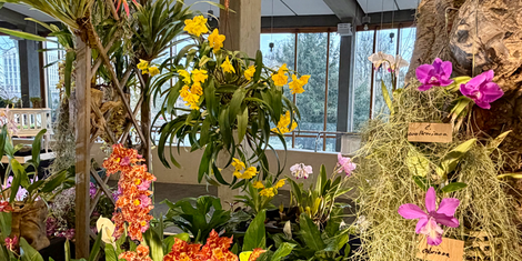 cropped-1771528471-bildschirmfoto-2026-02-19-um-20.14.20