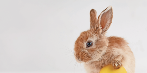 cropped-1771528893-bildschirmfoto-2026-02-19-um-20.21.16