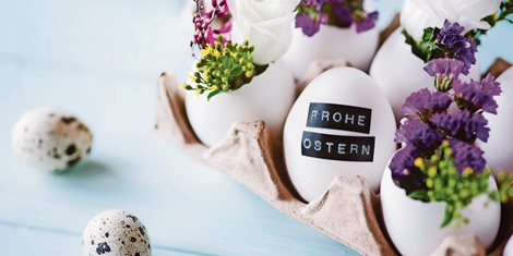 cropped-1771528953-bildschirmfoto-2026-02-19-um-20.22.25