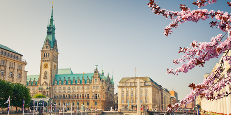 cropped-1771530979-bildschirmfoto-2026-02-19-um-20.56.04