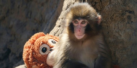 25e3f17642d0b90754e091352cdab709427f72d8