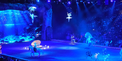 cropped-1771699700-20260221_140741