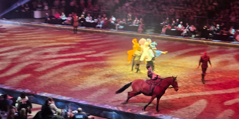 cropped-1771699835-20260221_162938