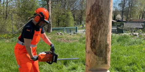 cropped-1771935497-bildschirmfoto-2026-02-24-um-13.17.57