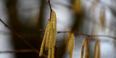 ff7d757e8d0ee2f25d847f176f706f702467e048