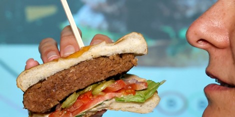 021c393991b5568e822aaae772bf0e91ba1c81c6