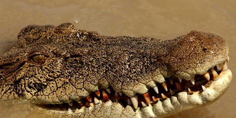 52cfcb19982d7f5ef9bbe812d8d67f73b3164f46