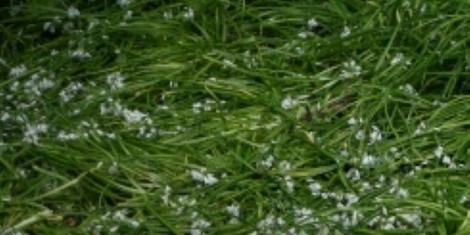 a90dabdfc142e942bff490ed1b53e3f3e5e8db8c