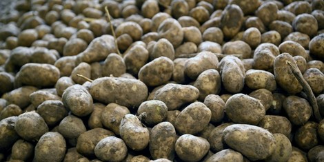 5a032933dd0d03eb7dce32d0cdfa300b8778f1f3