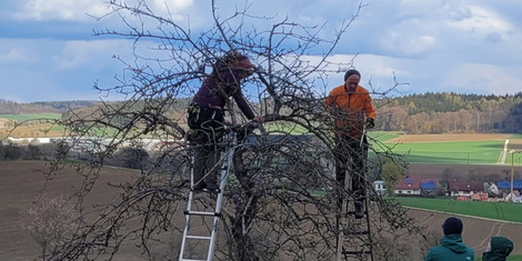 cropped-1773405704-2026-0094obstbaumschnitt-kurs-im-kreislehrgarten-krumbachp014911069