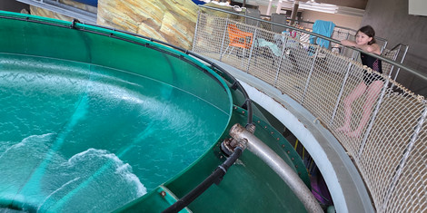 cropped-1773591537-20260315_100735