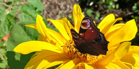 cropped-1773823851-20250906_144051