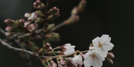 046fe870531db399cf28fcc9637f9e6a0d62301b