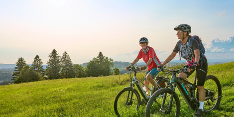 cropped-1773944497-adobestock_626575646