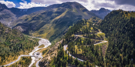 cropped-1773945426-adobestock_1695284425