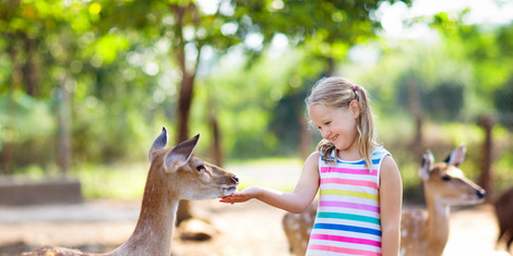 cropped-1773946820-adobestock_257033636