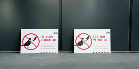 cropped-1774540010-einweihung-taubenhaus-13