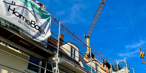 cropped-1775809824-img_4232