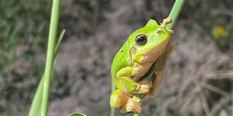 cropped-1778066998-362f533d-839b-4842-8390-bc544bd0adcc