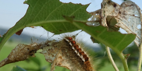 cropped-1780480702-bildschirmfoto-2026-06-03-um-11.57.41