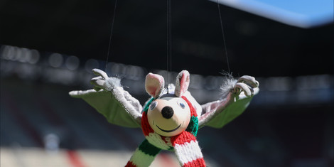 cropped-1787231058-20260820_fledermaus-tutulla-wird-neue-marionette-fur-d-ie-platzwahl