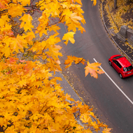 Auto fit für Herbst und Winter: So kommt das Fahrzeug sicher durch die kalte Jahreszeit