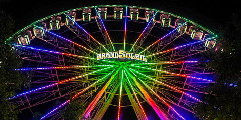 cropped-1790151235-img_5476_edited