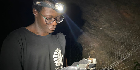 cropped-1790927496-opoku