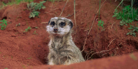 cropped-1792678064-bildschirmfoto-2026-10-22-um-16.07.36