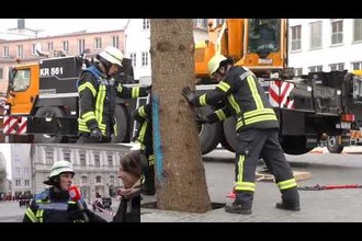 Der Weihnachtsbaum wird am Augsburger Christkindlesmarkt aufgestellt