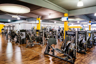 fitness discounter in ulm und neu ulm im vergleich so finden sie das passende fitnessstudio news augsburg allgau und ulm trendyone