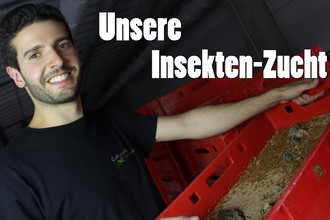 Startup des Monats: Catch-Your-Bug - Produkte mit Insektenprotein
