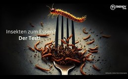 Insekten zum Essen? Der Test!